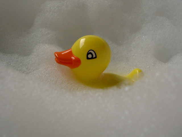 180409-fujisaka-duck