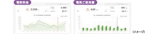 ガスと電気をまとめて便利。うれしい見える化